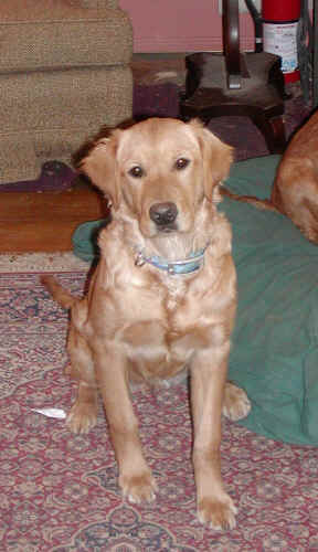 yoda6month.jpg (101923 bytes)