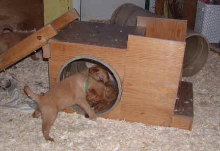 tunnelfight.JPG (86498 bytes)