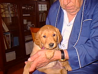 0713_007.jpg (19949 bytes)