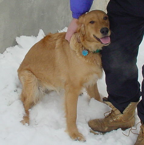lucyl.jpg (29749 bytes)