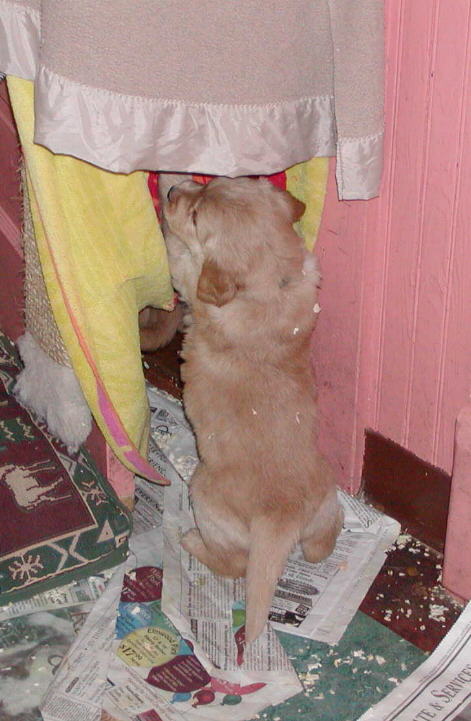 distractions.JPG (60659 bytes)