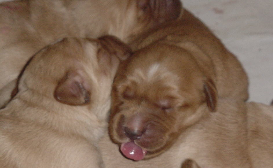 girlsnug.jpg (52367 bytes)