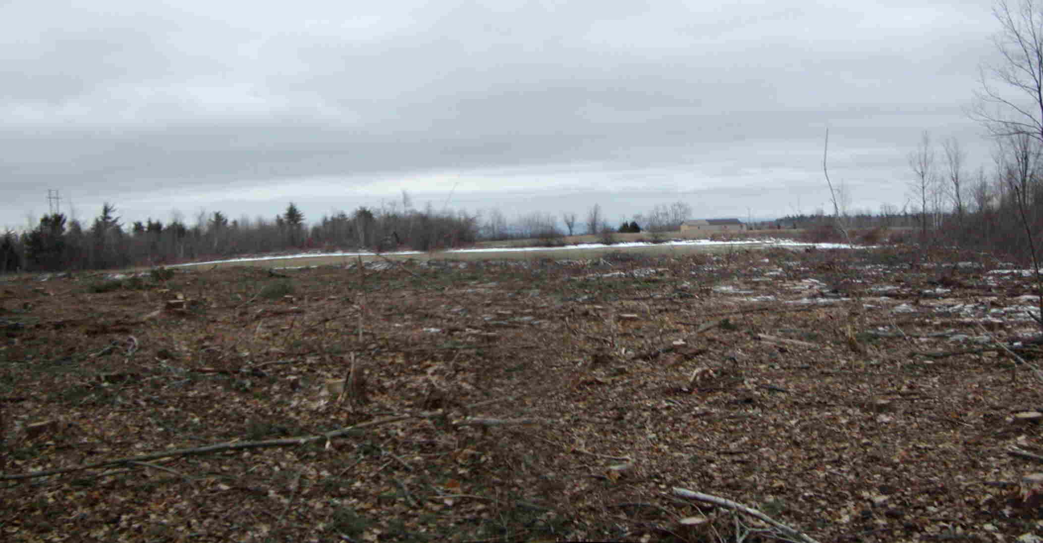 Northpond_site_looking_southeast_red.jpg (99423 bytes)